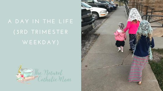 A Day in the Life (3rd Trimester Weekday)